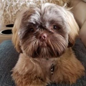 Meet your Posher, Marlene